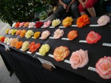 Begonia exhibition.